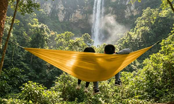 Tropical plant pattern hammocks