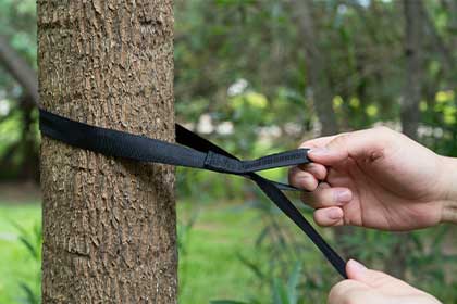 hammock tree straps