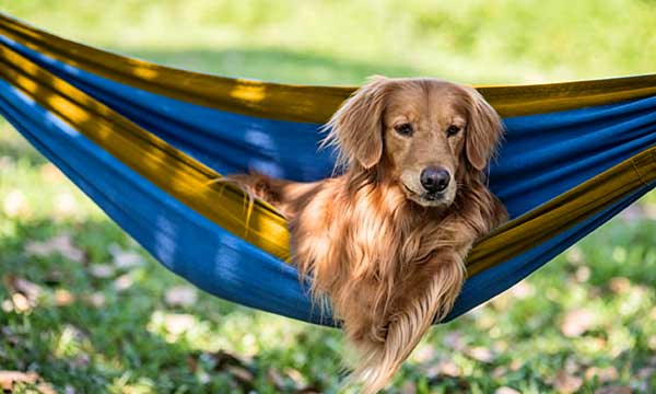 Stone grey solid color hammock